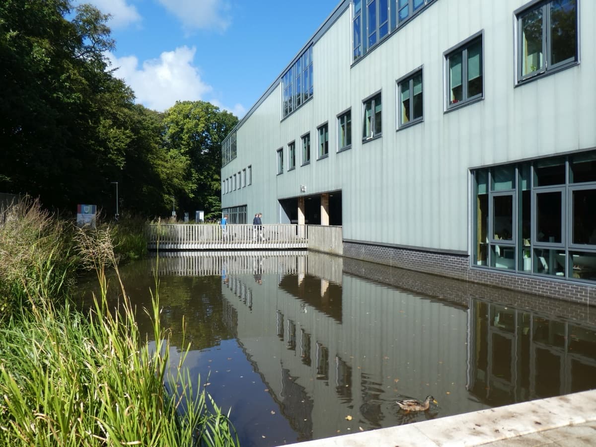 Lancaster University kampüsünden bir görünüm